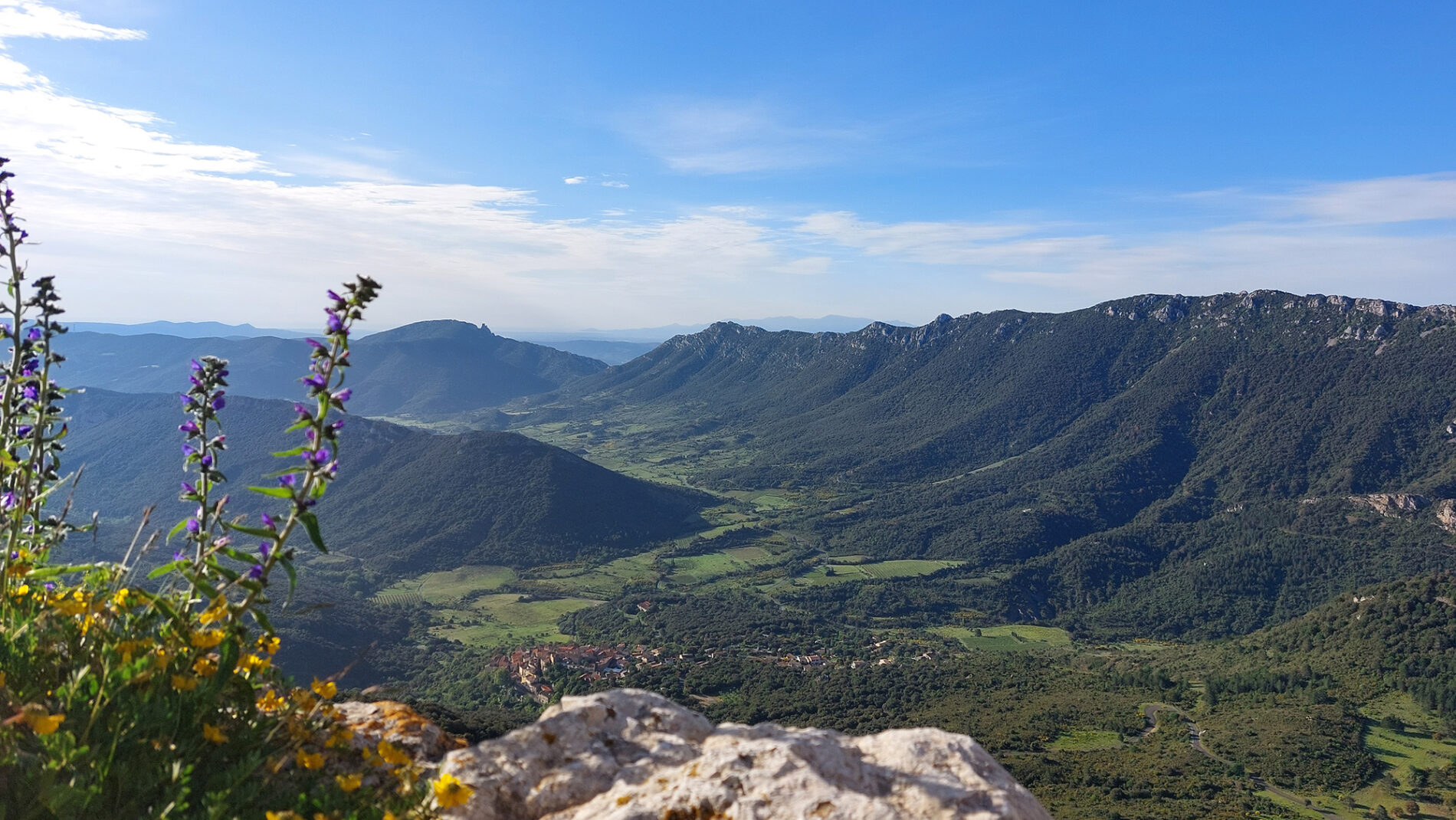 Duilhac-sous-Peyrepertuse vu depuis le château