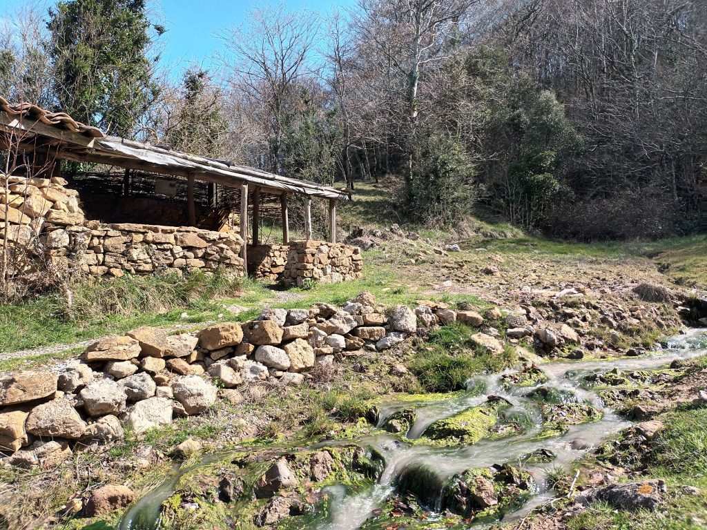 La Sals, source d'eau salée - Cabane du bouilleur