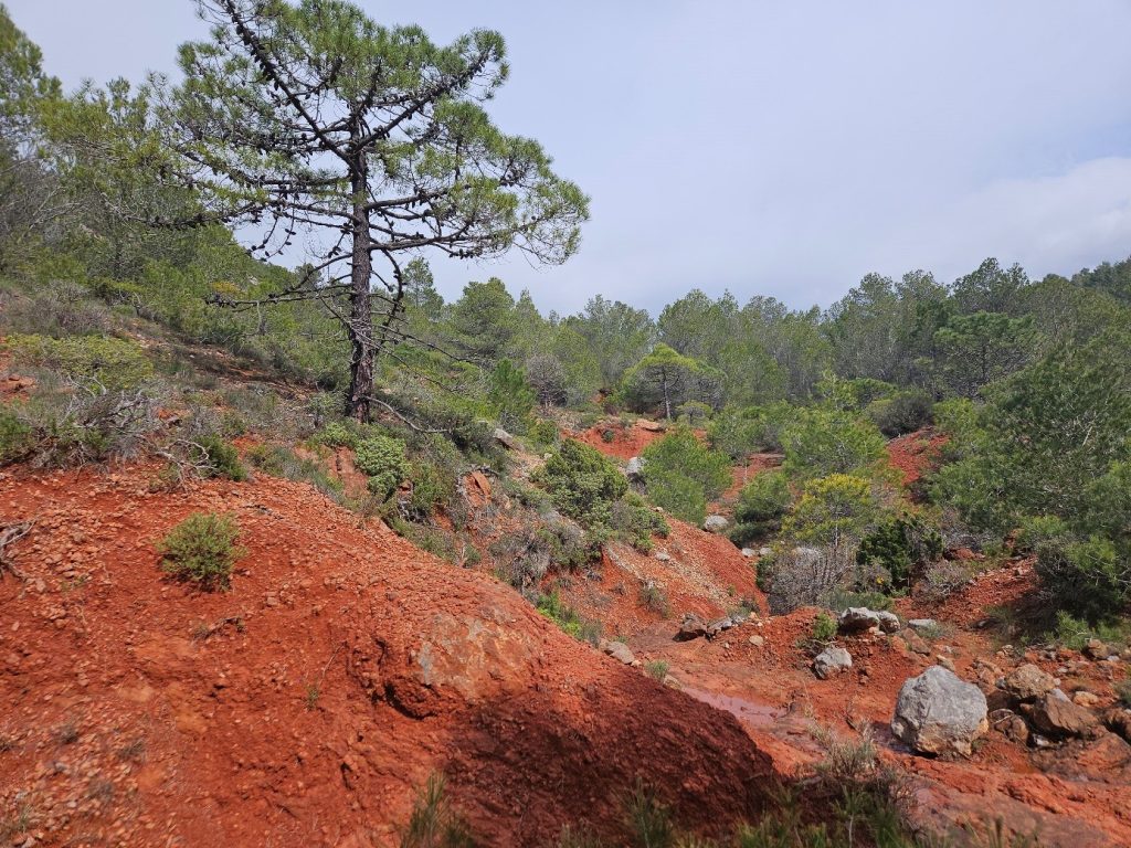 Albas, terres rouges du Parc naturel régional Corbières-Fenouillèdes