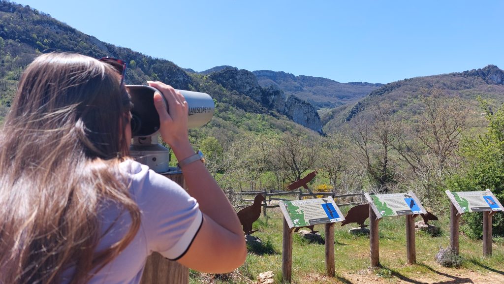 Bugarach - Observatoire des vautours
