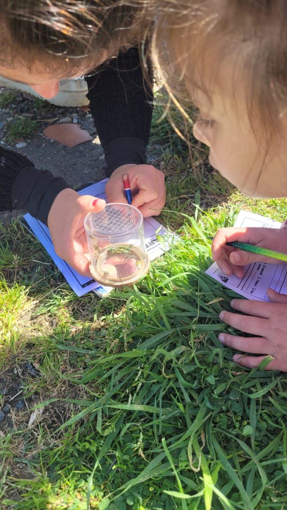 Escapades éducatives, activités réalisées sur le temps scolaire sur le thème d'un des éléments (eau, air, terre, feu) avec un aspect EEDD dnas le cadre du programme PRSE4 de la région Occitanie. Belvianes-et-Cavirac, Parc naturel régional Corbières-Fenouillèdes