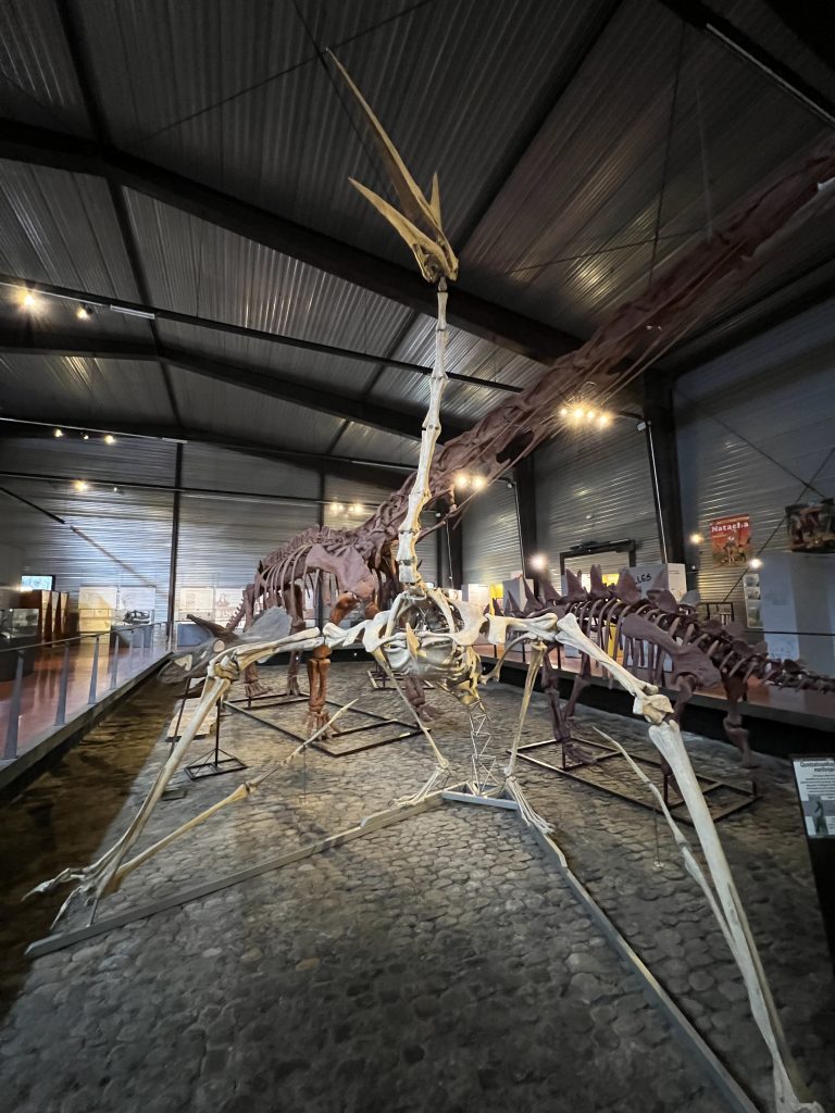 Espéraza, Musée des dinosaures, Dinosauria