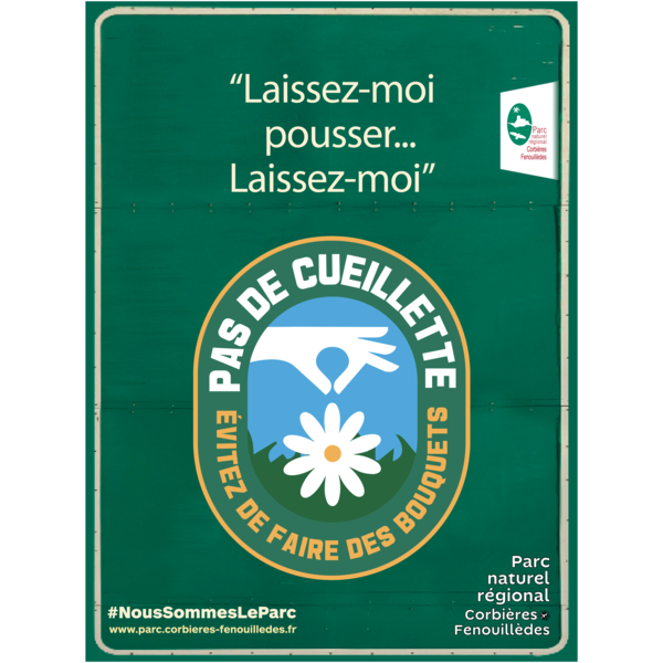 Adoptons les bons gestes ! Evitons de faire des bouquets et profitons avec les yeux et le nez.