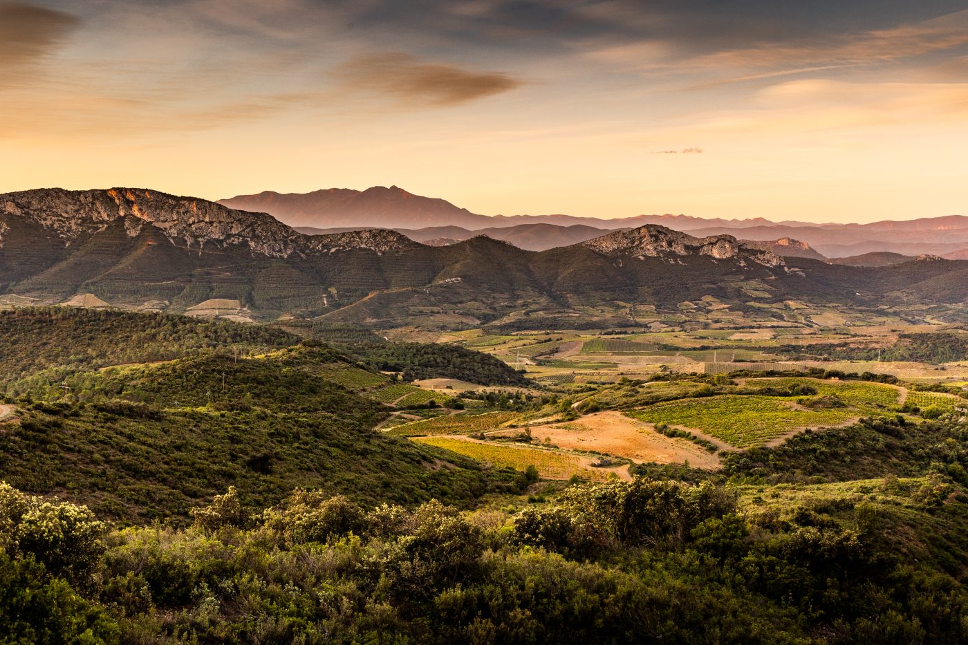 Vue sur le Fenouillèdes, Parc naturel régional Corbières-Fenouillèdes