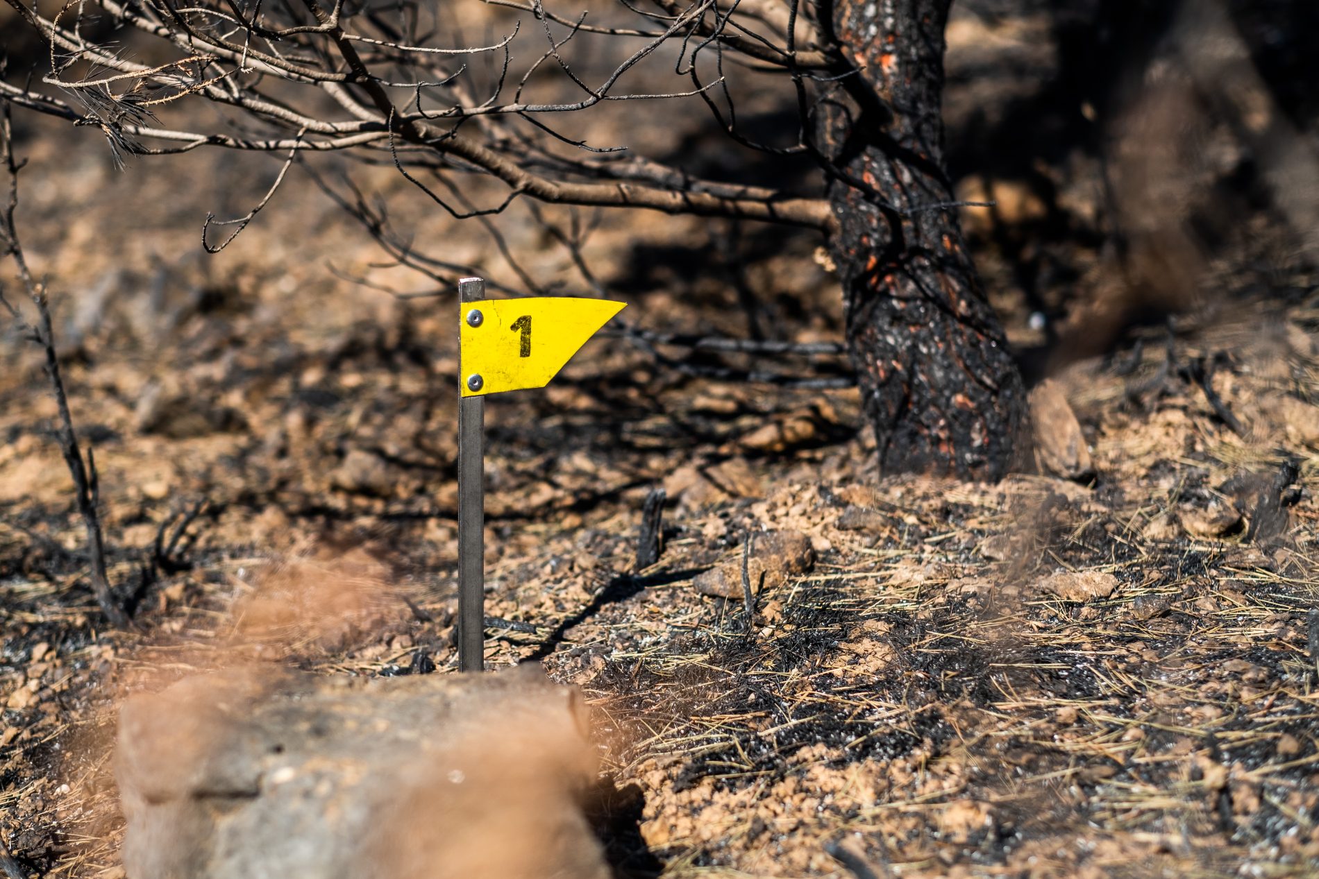 Opoul, 2022, Recherche de Cause et Circonstance de l'Incendie qui a détruit 1000 hectares de forêt. Experts DFCI de l'ONF et du SDIS 66. Pose de drapeaux indicateur d'indice.