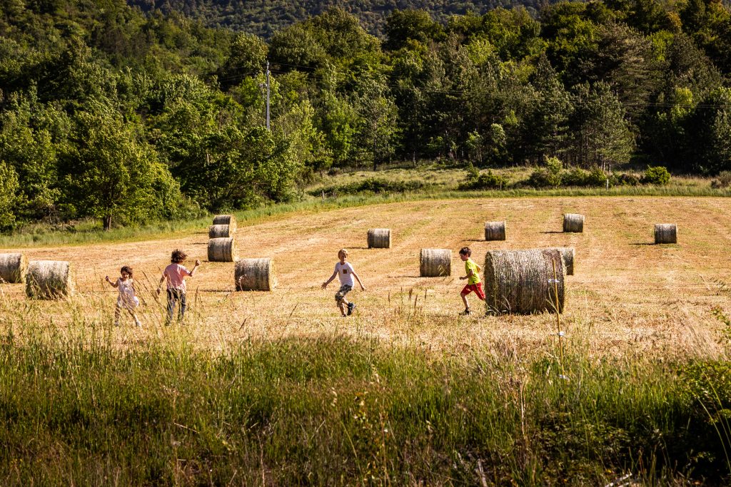 Balles de foin dans les champs de Soulatgé, Aude