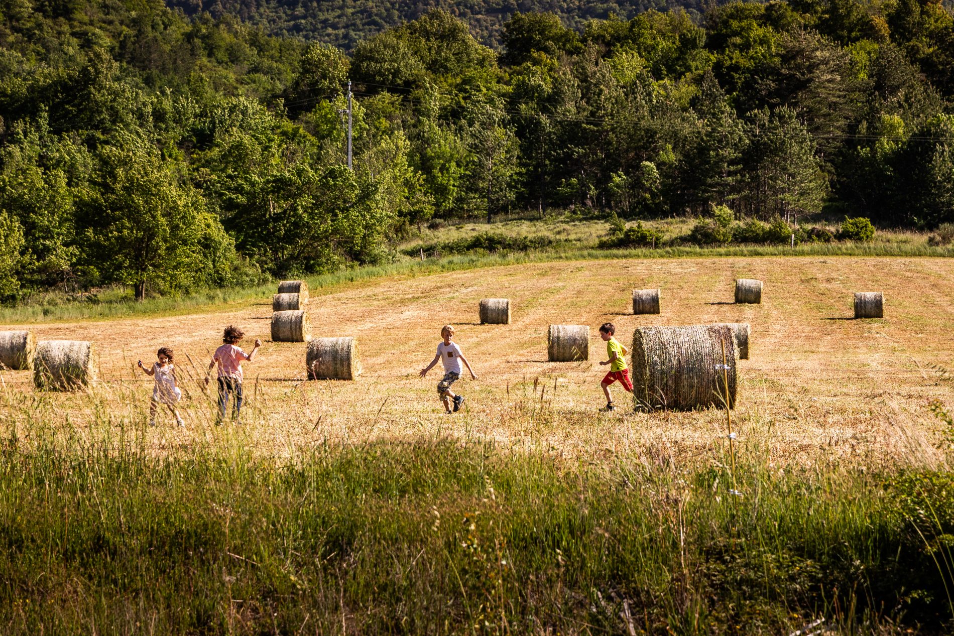 Balles de foin dans les champs de Soulatgé, Aude