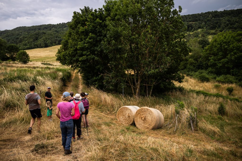 Groupe de randonneurs, animation Natura 2000 sur le pastoralisme au cœur du Parc Naturel Régional des Corbières-Fenouillèdes a La Borde a Saint-Louis-et-Parahou.