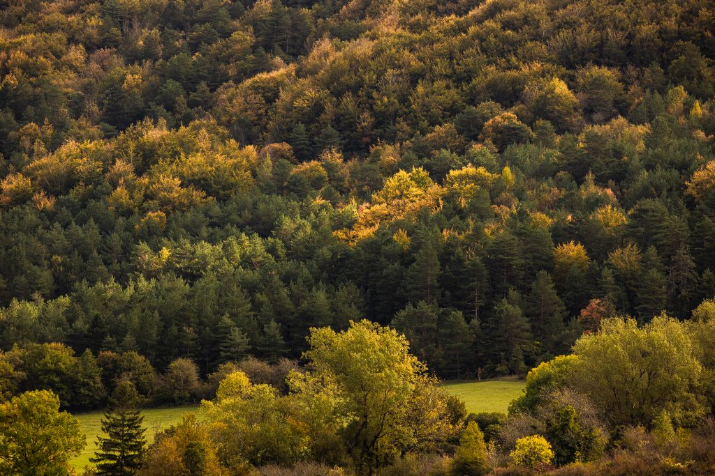Saint Louis et Parahou, arbres aux couleurs automnales. PNR Corbières Fenouillèdes