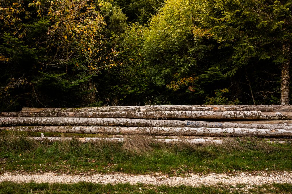 Foret royale des fanges, entre Saint-Louis-et-Parahou à l'est et Saint-Martin Lys à l'ouest, la forêt royale des fanges, foret d'exploitation de plus de 1400 hectares.