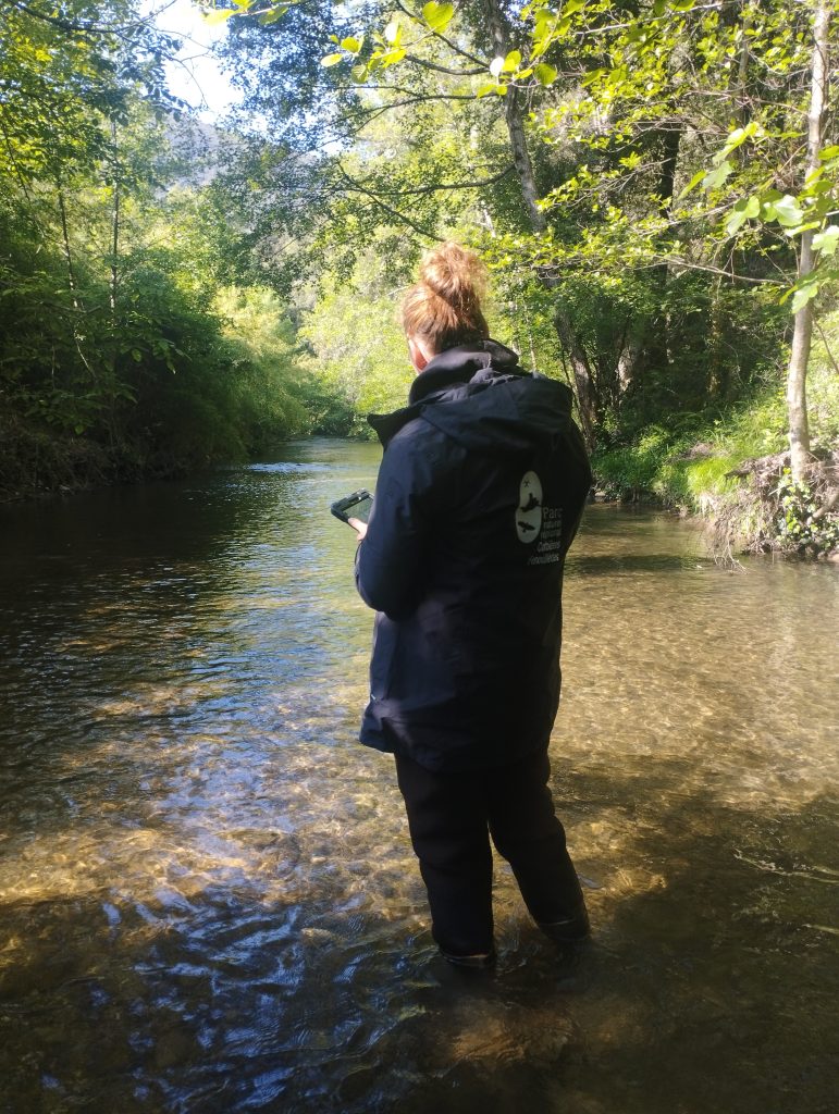 Suivi odonates, SOGAP, Natura 2000, Orbieu, Parc naturel régional Corbières-Fenouillèdes