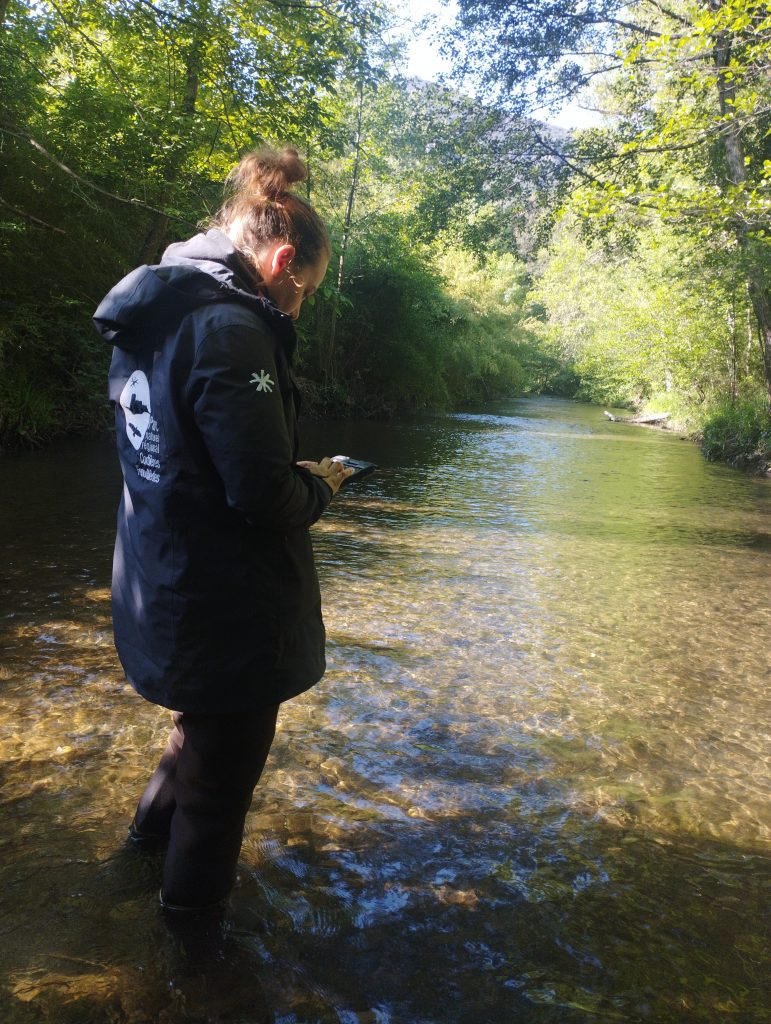 Louise Boniface, agent Natura 2000. Travail d'étude sur le Barbeau méridional et l'état des cours d'eau, les obstacles sur l'Orbieu, Parc naturel régional Corbières-Fenouillèdes