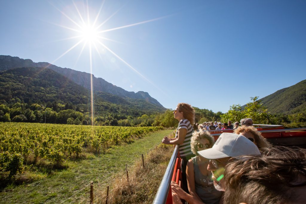 À bord du Train rouge, on admire le Parc depuis le wagon découvert