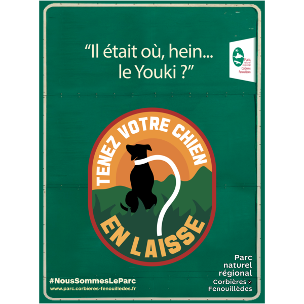 Adoptons les bons gestes ! Dans la nature, tenons notre chien en laisse.