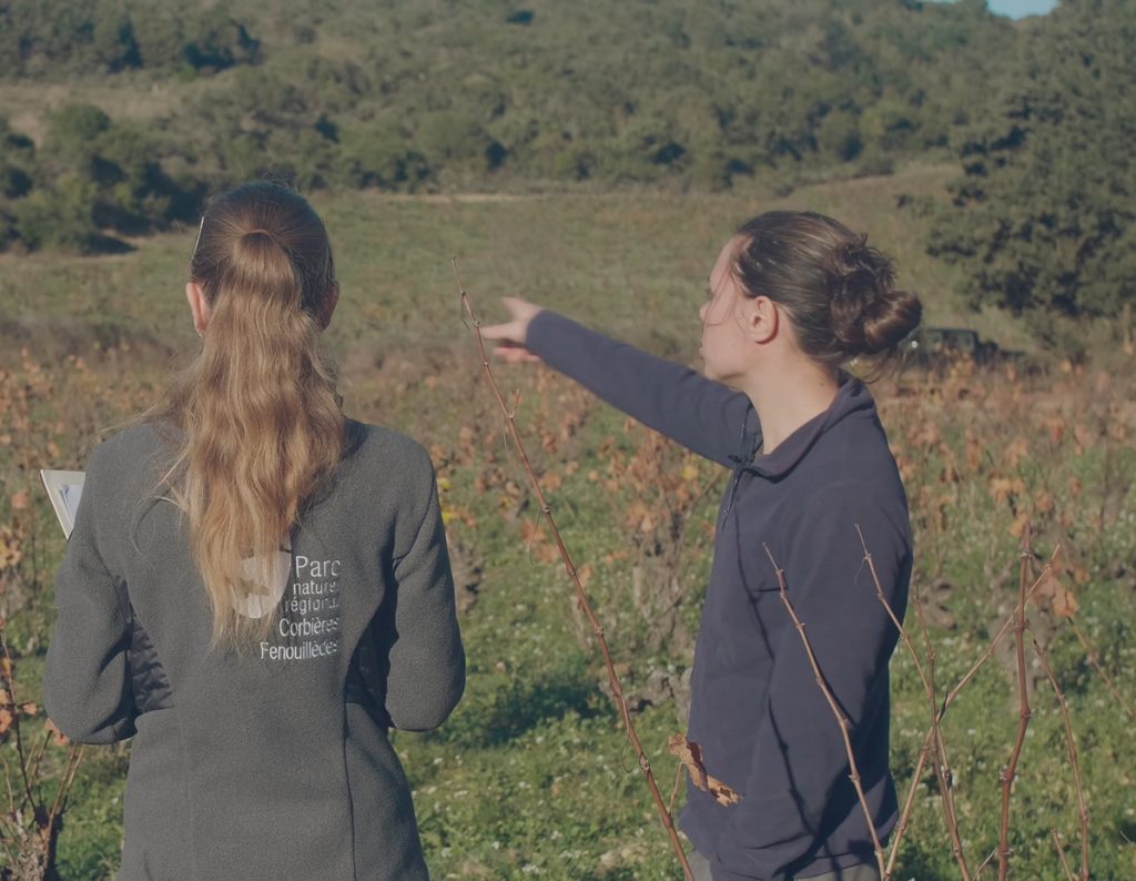 MAEC, des mesures concertés pour adapter nos pratiques agricoles au changement climatique. Vigne Fontjoncouse PNRCF
