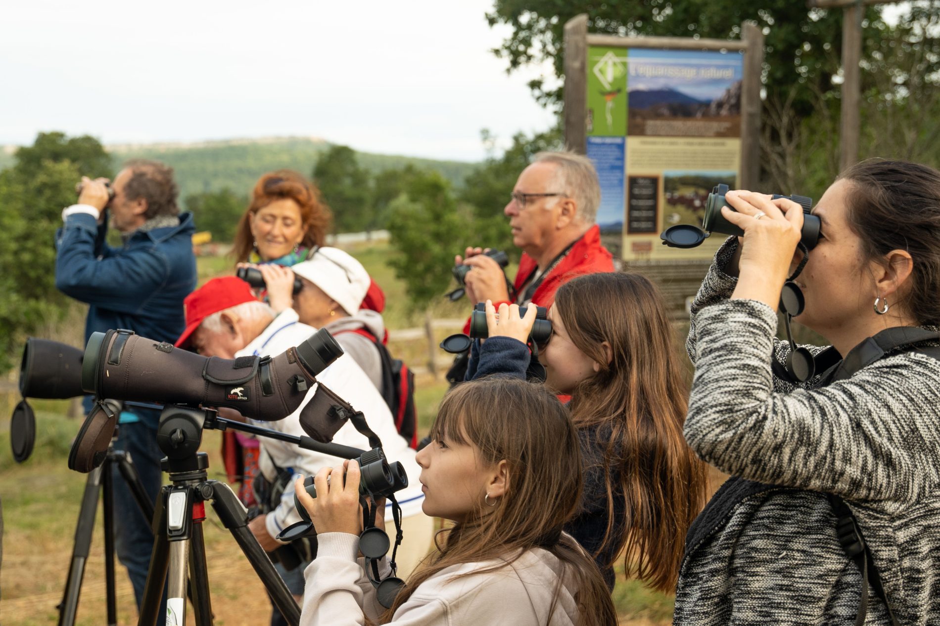 Observatoire des vautours à Bugarach