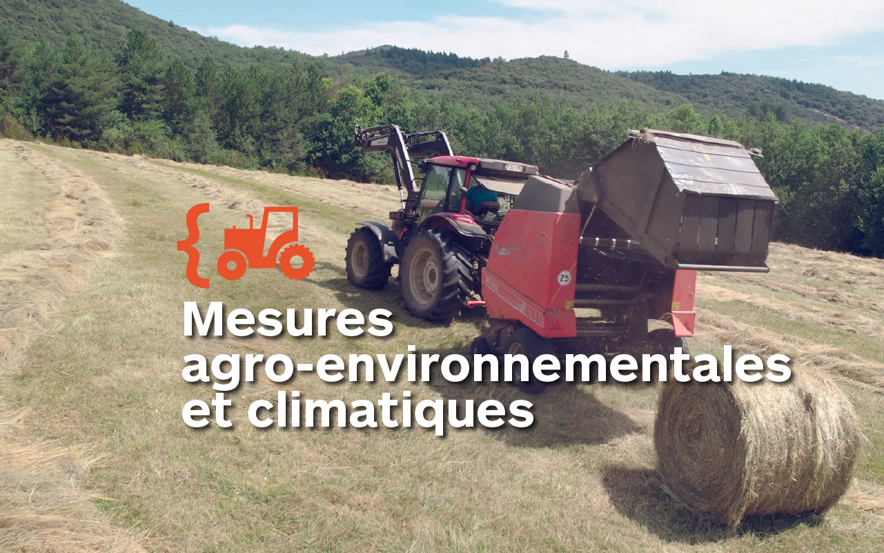 MAEC- Vidéo "Action" du Parc naturel régional Corbières-Fenouillèdes